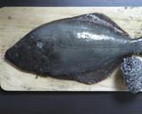 うまみ倍増！ ヒラメの昆布締め＆寿司作り方1写真