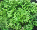 わさび菜ととりむね肉のかんたんソテー作り方4写真