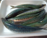 新鮮大羽いわしを刺身で楽しむ甘酢漬け作り方1写真