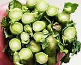 菜の花の美味しい茹で方♪作り方2写真