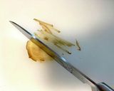 簡単揉むだけ✩.*˚ナスと生姜の浅漬け作り方2写真