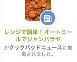 レンジで簡単!オートミールでジャンバラヤ作り方5写真