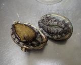 アワビしゃぶしゃぶ作り方1写真