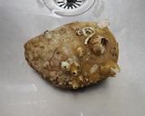 オオハネガイの刺身作り方1写真