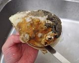 オオハネガイの刺身作り方2写真