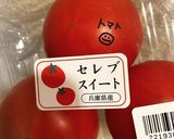 ズッキーニチーズトマトのマカロニサラダ作り方1写真