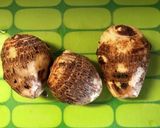 イカと里芋の煮物作り方3写真