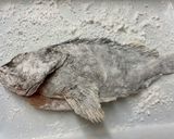 アラカブ（カサゴ）の唐揚げ作り方3写真