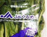 ほうれん草たっぷりのオムレツ作り方1写真