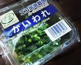 かいわれとすりごまのサラダ作り方1写真