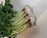 かいわれとすりごまのサラダ作り方2写真