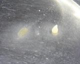 早い・簡単・美味しい☆フロランタン☆作り方8写真