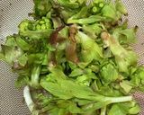 麺つゆで♪甘さを抑えたふき味噌作り方2写真