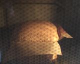 手作りカステラ作り方7写真