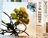 メスティンで春告草♪蕗の薹の天ぷら作り方4写真