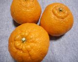 不知火の甘酢サラダ♪めっけ作り方1写真