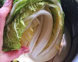 手作り簡単★白菜株キムチ作り方3写真