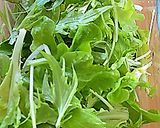 野菜がめちゃ旨 ! ビネ果ソースのサラダ作り方3写真