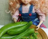 リカちゃん♡スナップエンドウ*酢みそがけ作り方3写真