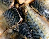 雅俊の鯖の生姜煮作り方5写真