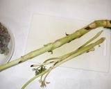海老うど味噌炒め♪簡単冷え不妊症漢方薬膳作り方5写真