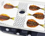 フードドライヤーでつくるアジのみりん干し作り方10写真