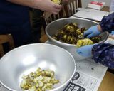 サクユリのきんとん《御蔵島の伝統食》作り方1写真
