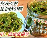 人気！やみつき切り昆布の中華酢の物常備菜作り方5写真