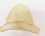 豆乳の塩パン☆乳製品不使用☆HB使用作り方11写真