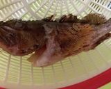アラカブ（カサゴ）の味噌汁作り方1写真