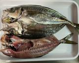魚の塩焼き　干物　外には干さず冷蔵庫で！作り方1写真