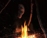 自家製ベーコン作り方4写真