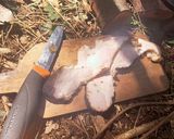 自家製ベーコン作り方6写真
