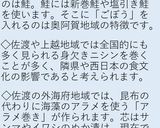 鮭の昆布巻き作り方8写真