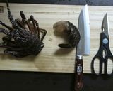 記念日やお祝いに! 伊勢海老の刺身作り方3写真