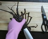 記念日やお祝いに! 伊勢海老の刺身作り方2写真