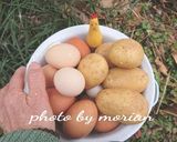 ウクライナのパンケーキ☆デルニを焼こう♪作り方1写真