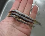 焼き干し入り味噌貝焼き作り方1写真