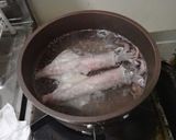 ヤリイカの塩茹で作り方5写真