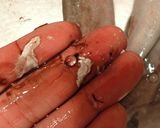 ヤリイカと長いもの煮つけ作り方2写真