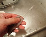 ヤリイカと長いもの煮つけ作り方5写真