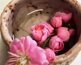 梅肉と梅の花びらのゼリー♪作り方1写真