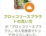 ブロッコリースプラウトの洗い方作り方10写真