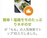 簡単！塩鶏モモのたっぷりネギのせ作り方10写真
