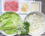 白菜でかさ増し麻婆豆腐作り方1写真
