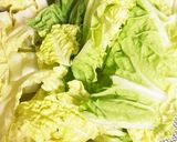 副菜★白菜のおひたし作り方1写真