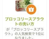 ブロッコリースプラウトの洗い方作り方11写真