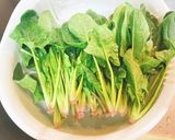 ほうれん草としらすの焼きのり和え作り方4写真
