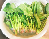 ほうれん草としらすの焼きのり和え作り方4写真