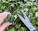琵琶の葉茶（ダイエットや骨粗しょう症に）作り方6写真